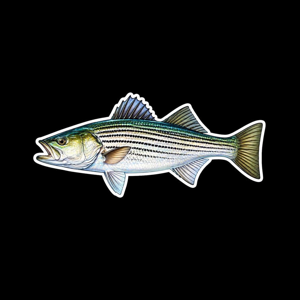 Striped Bass Fishing Sticker Set, Scale Pattern Angler Decals (3pc)