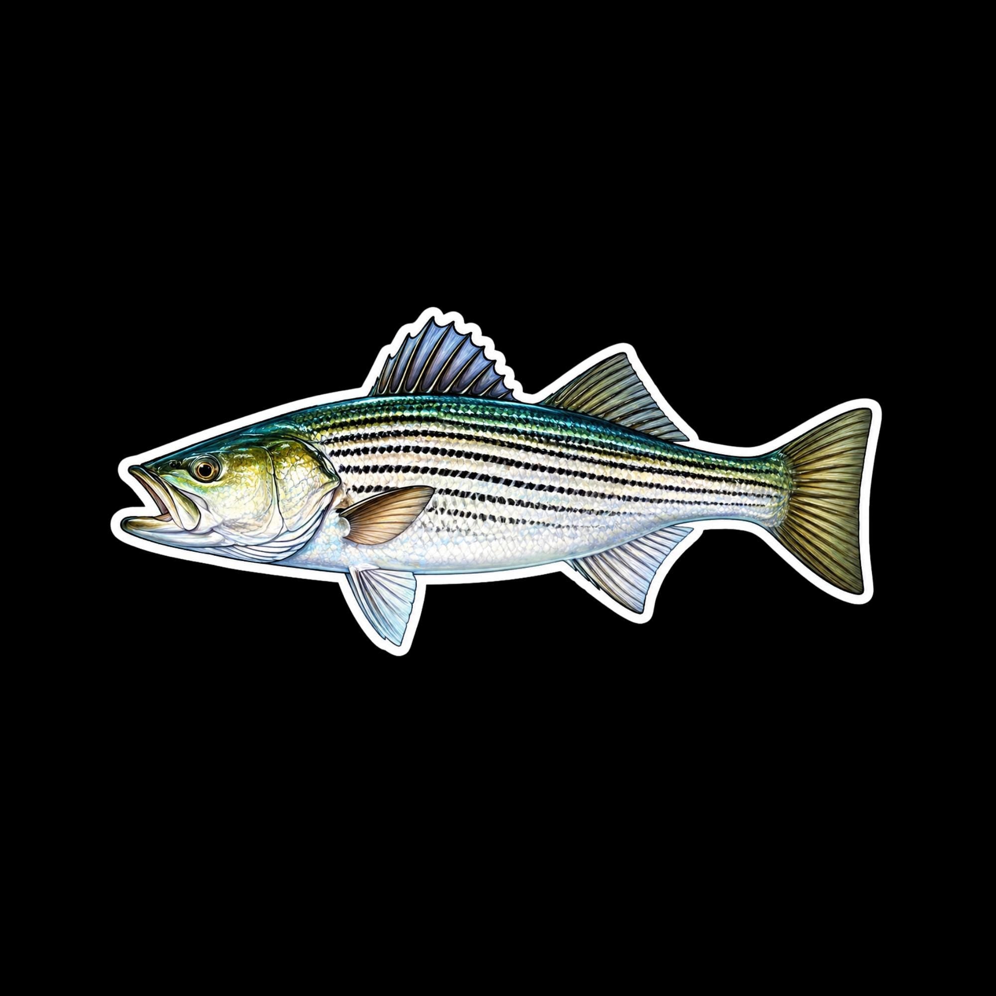 Striped Bass Fishing Sticker Set, Scale Pattern Angler Decals (3pc)