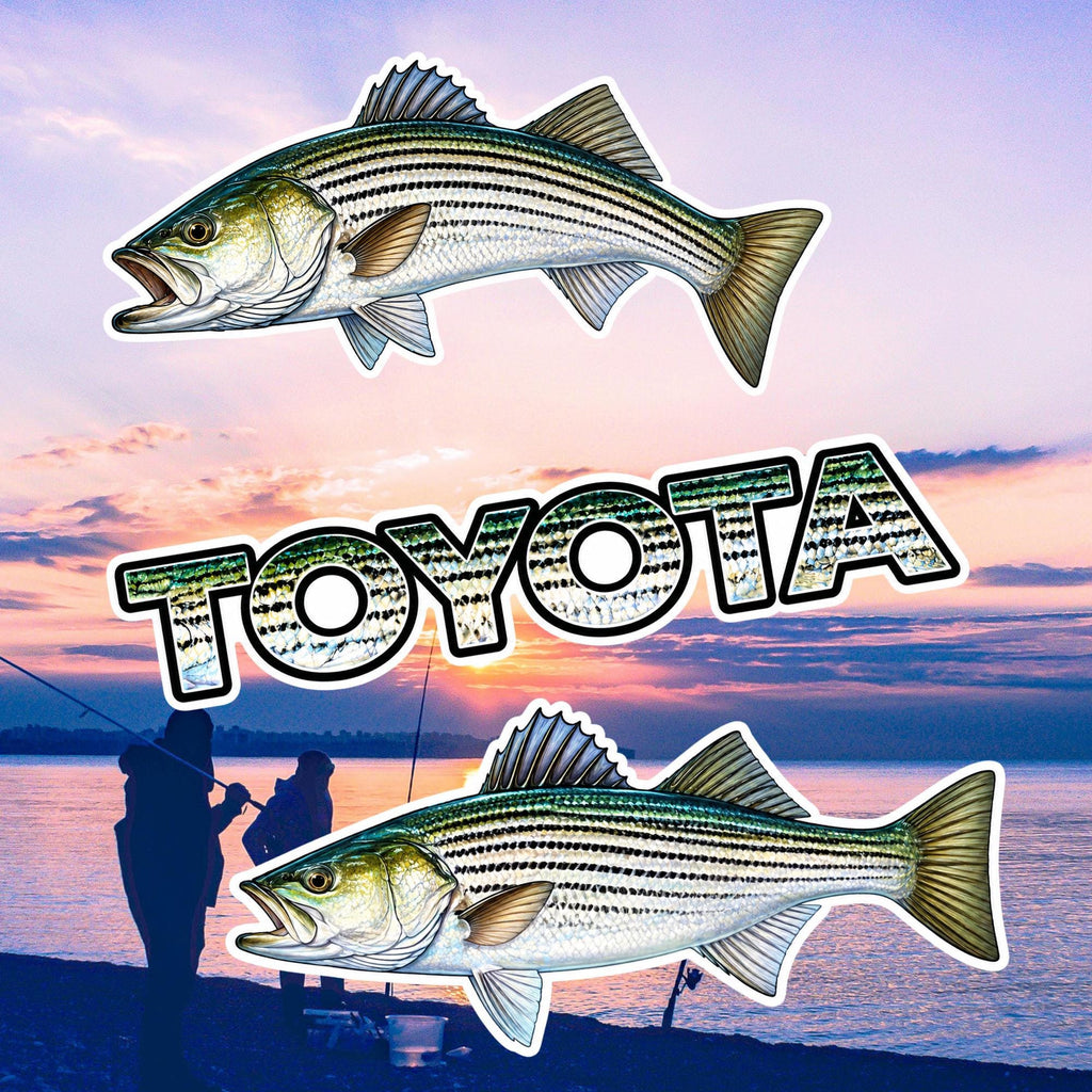Striped Bass Fishing Sticker Set, Scale Pattern Angler Decals (3pc)