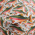 Rainbow Trout Sticker, Fly Fishing Art, Waterproof Decal