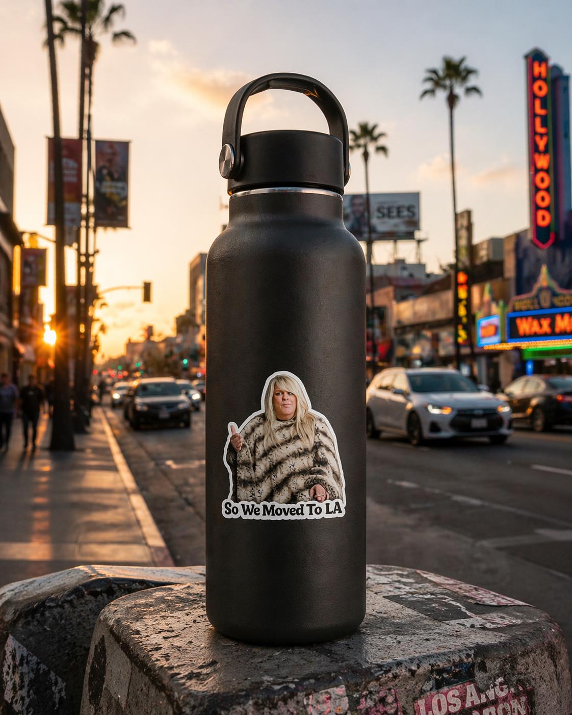 So We Moved To LA Meme Sticker, Waterproof Vinyl Decal, Sarcastic Humor Graphic