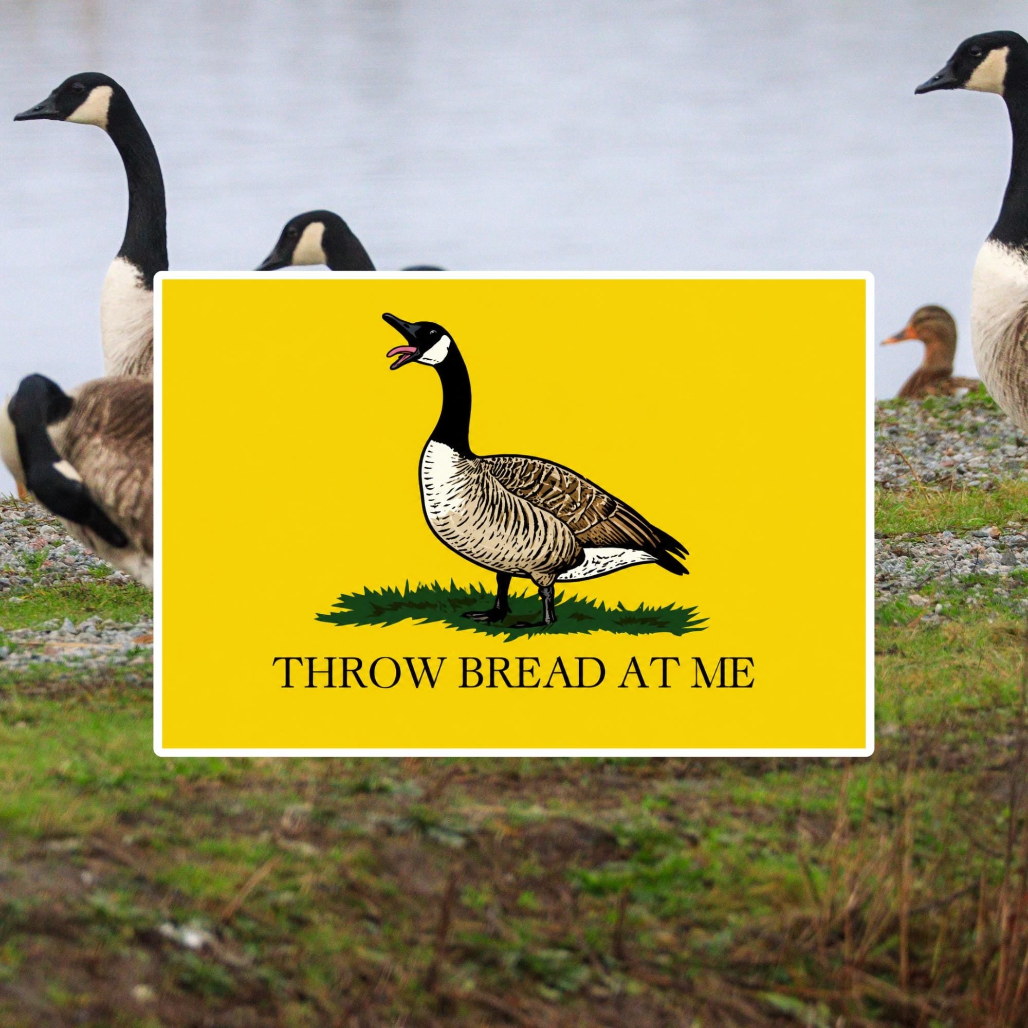 Funny Goose Sticker, Throw Bread At Me, Canada Meme Decal (Waterproof Vinyl)