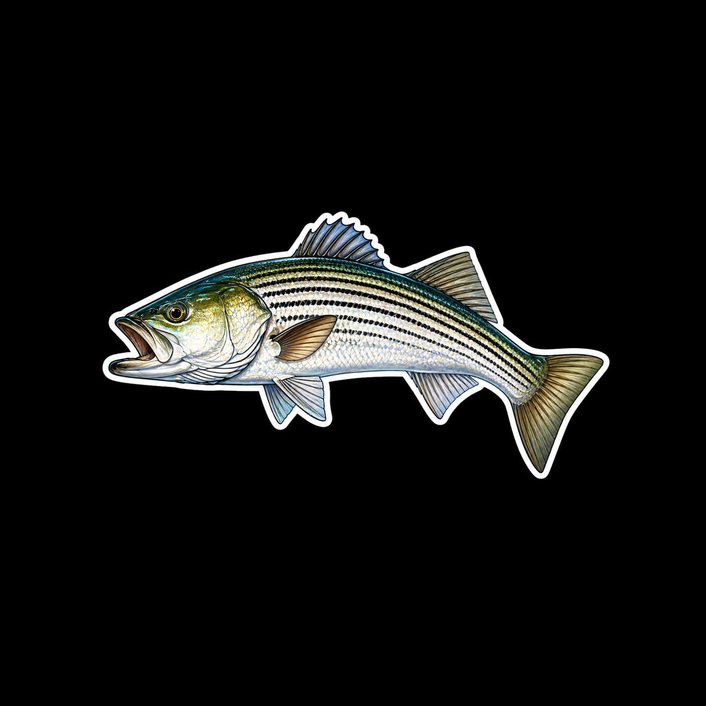Striped Bass Fishing Sticker Set, Scale Pattern Angler Decals (3pc)