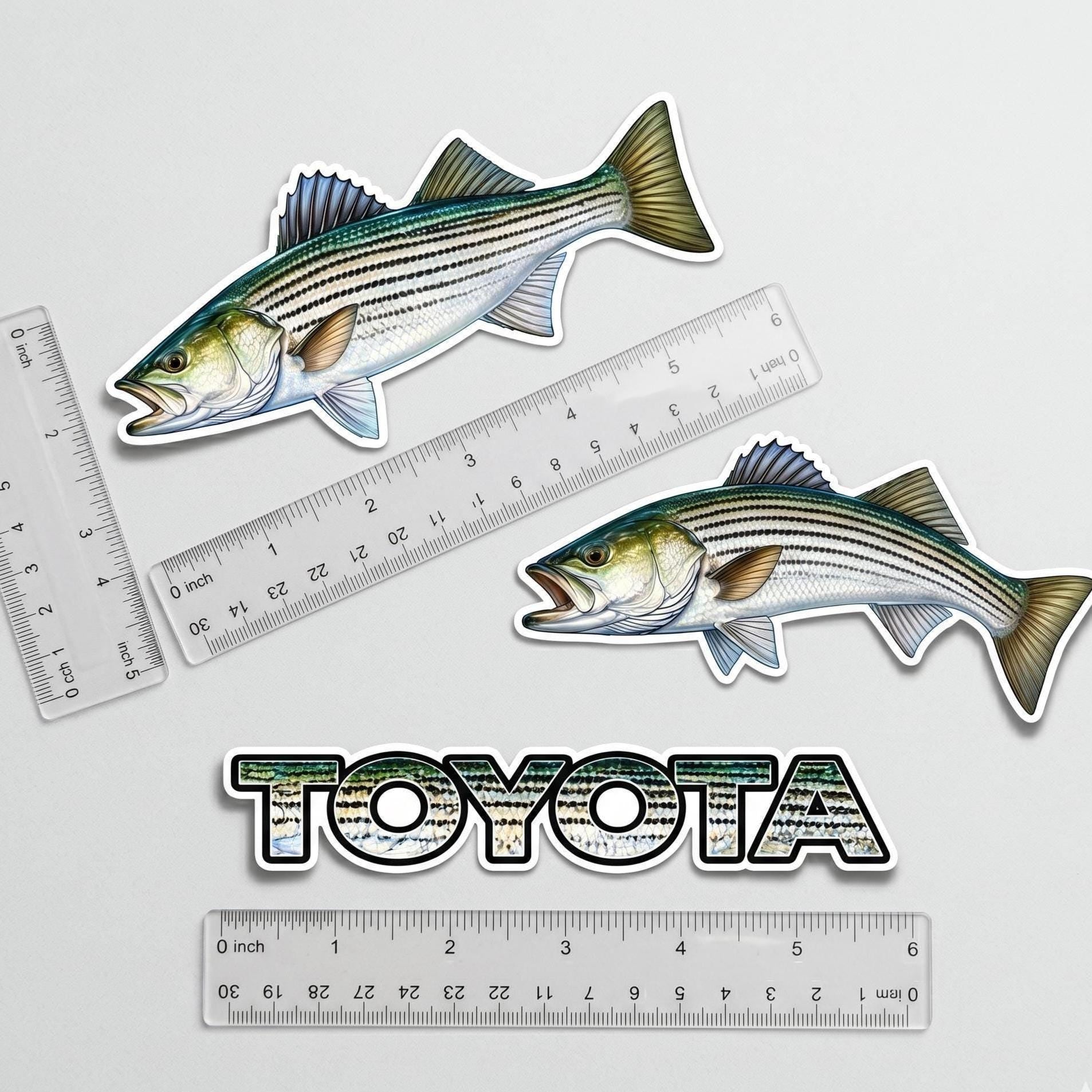 Striped Bass Fishing Sticker Set, Scale Pattern Angler Decals (3pc)