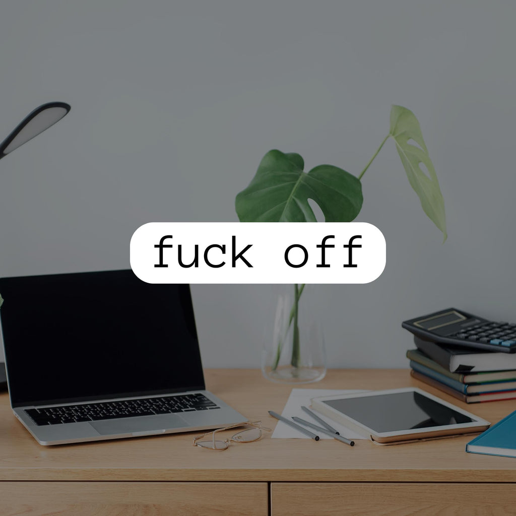 Funny Profanity Stickers, Waterproof Vinyl Laptop Decals, Adult Humor Pack